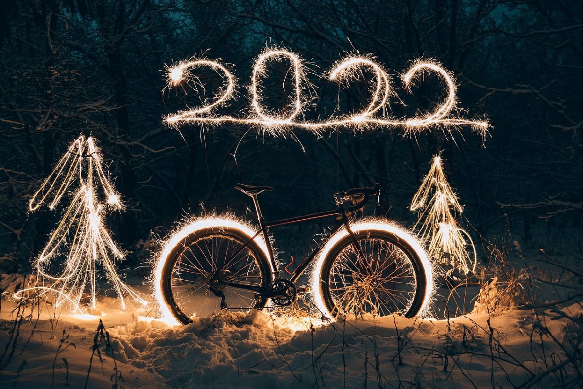 Елка на море