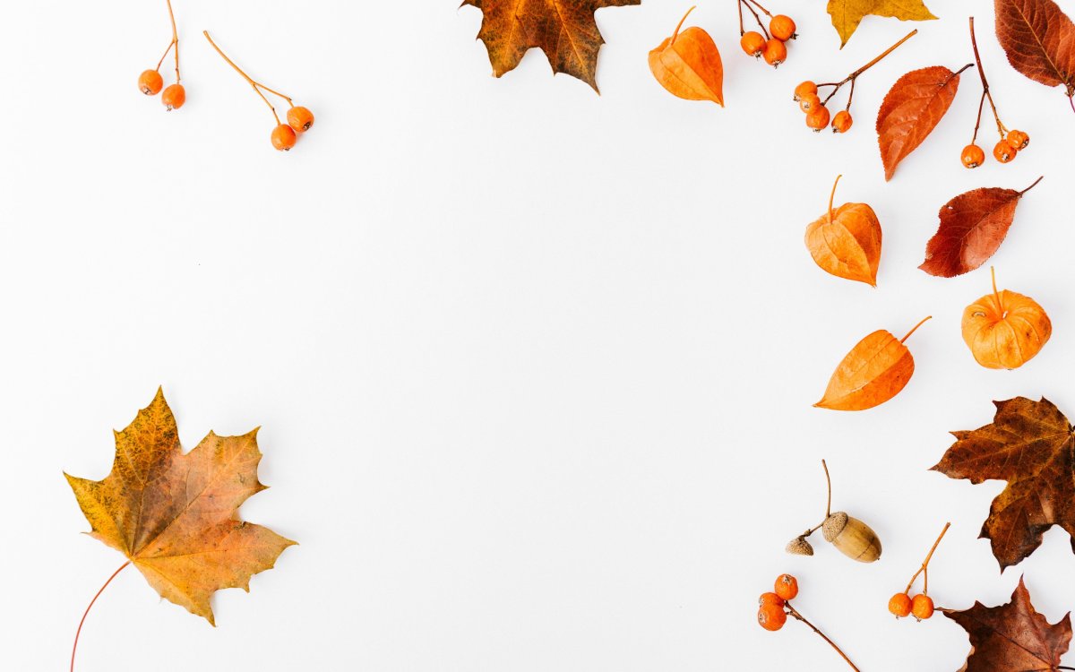 Осенние листья