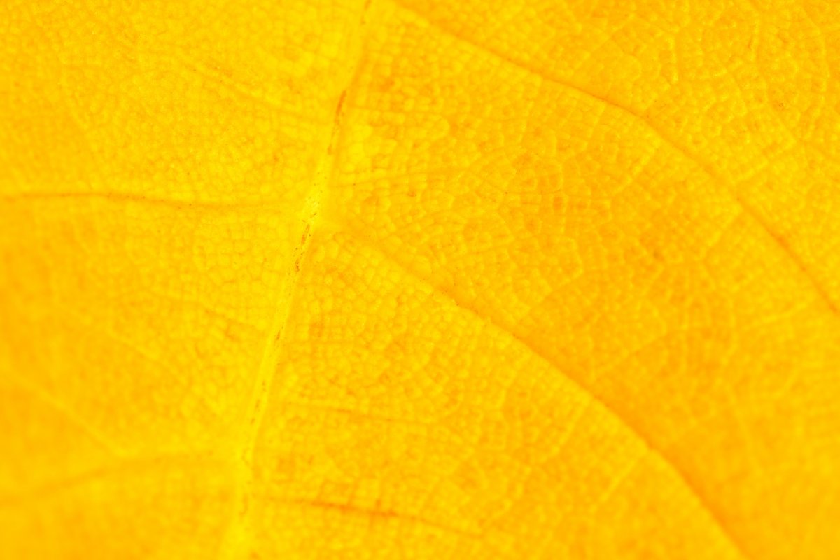 Стикеры для распечатки желтые