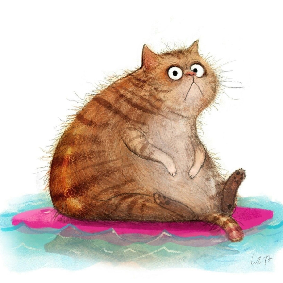 Тарелка котик