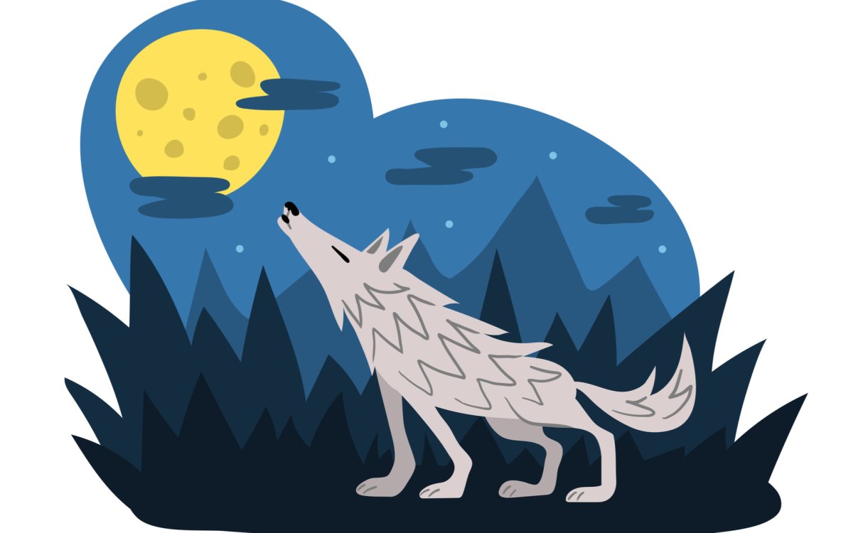 Волк воет на луну мультяшный