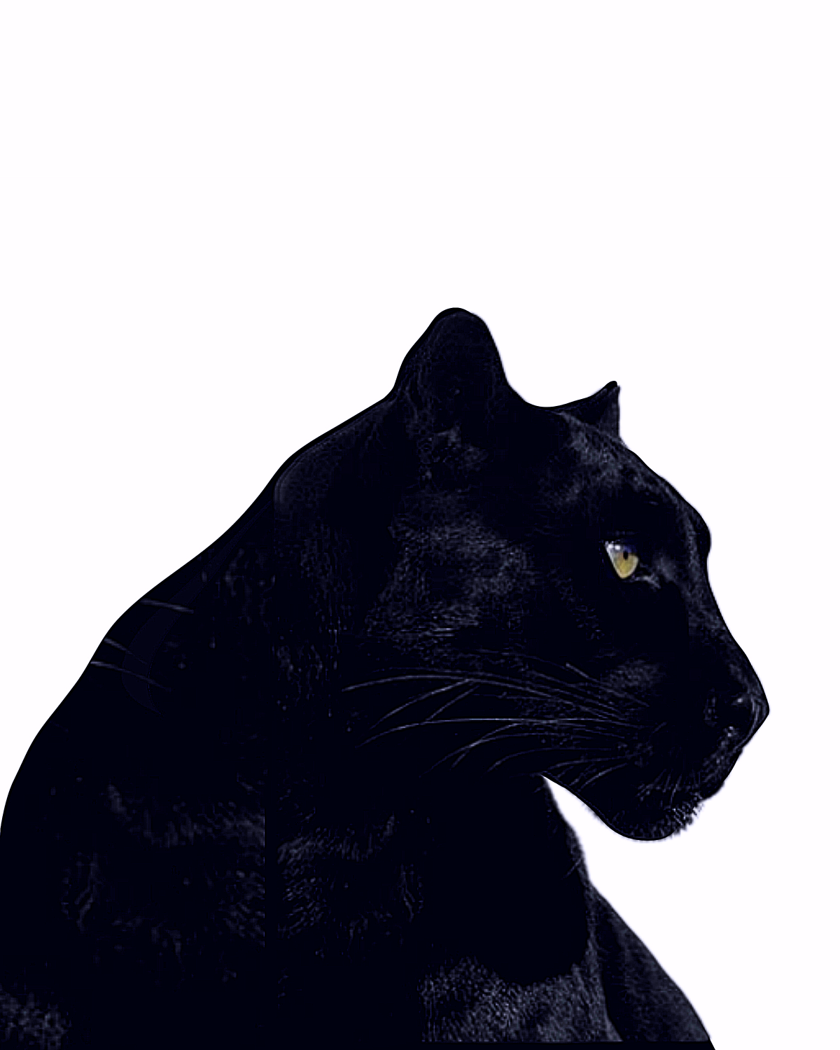 Пантера в темноте