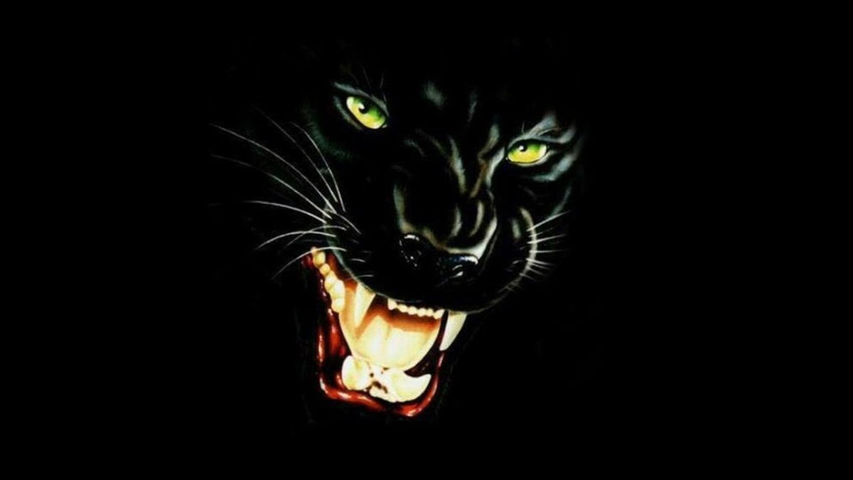 Детеныш пантеры