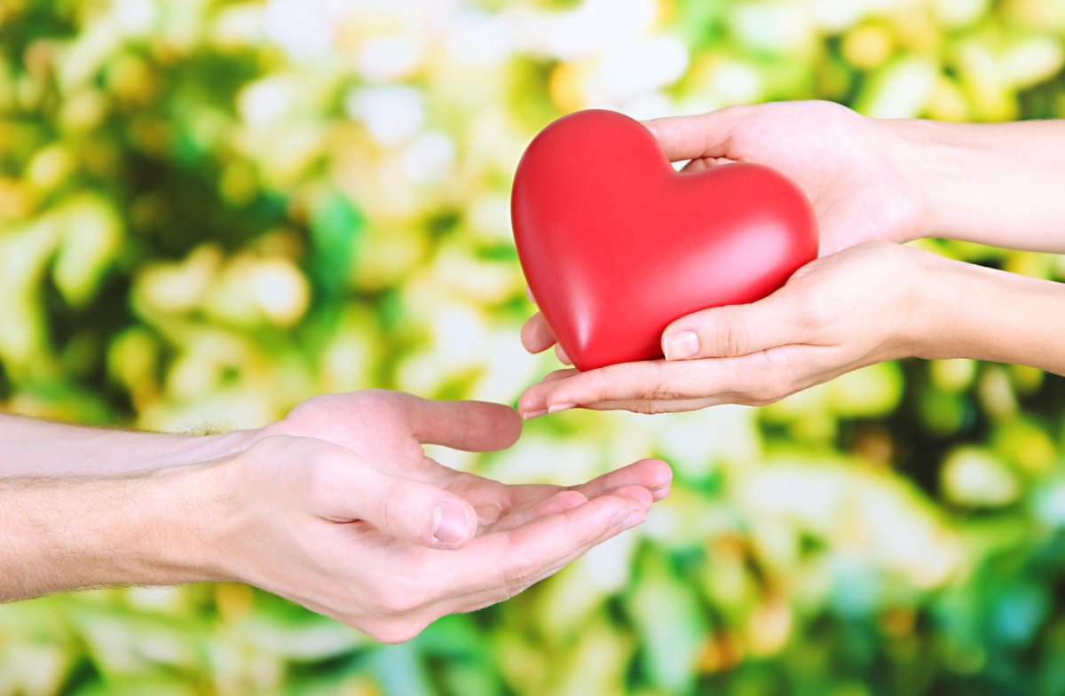 Сердце в руках