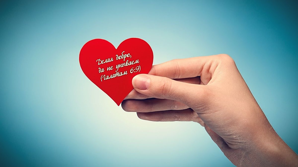 Сердце благотворительность