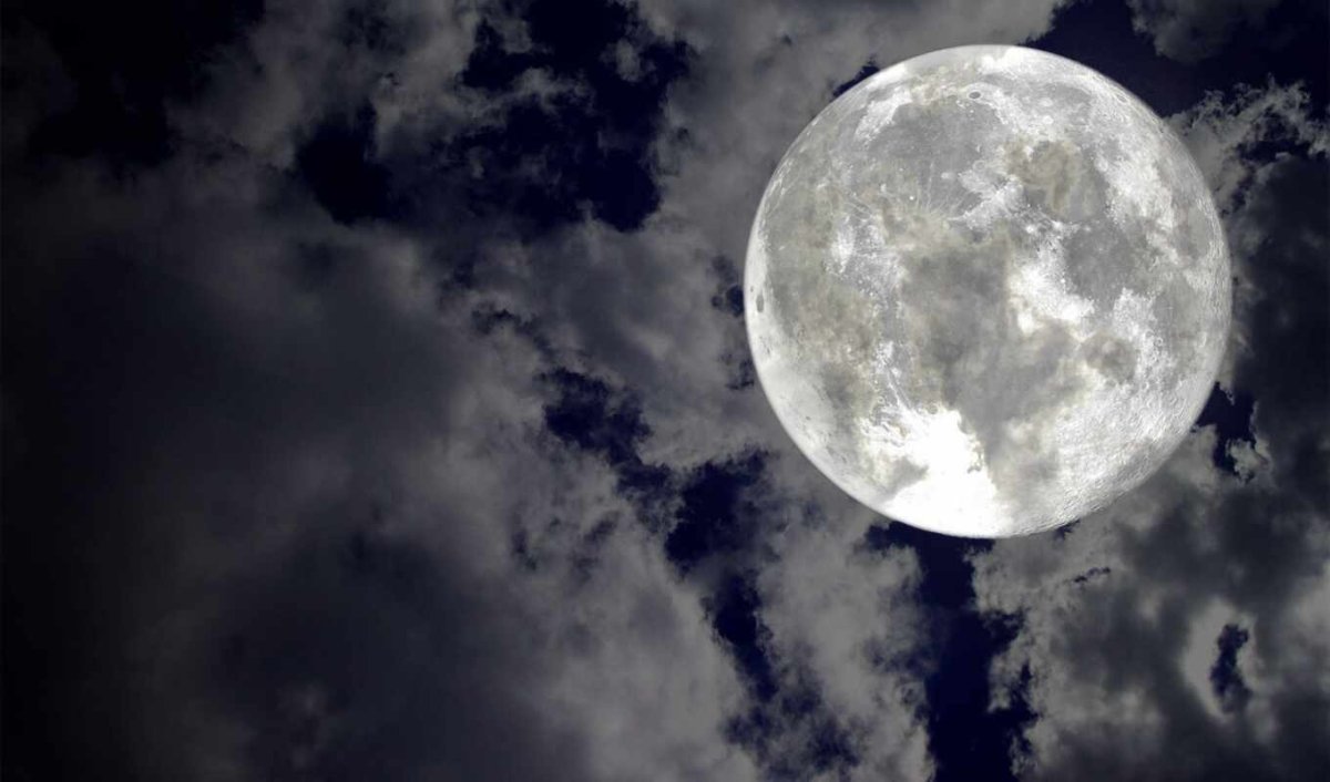 Птицы в ночном небе