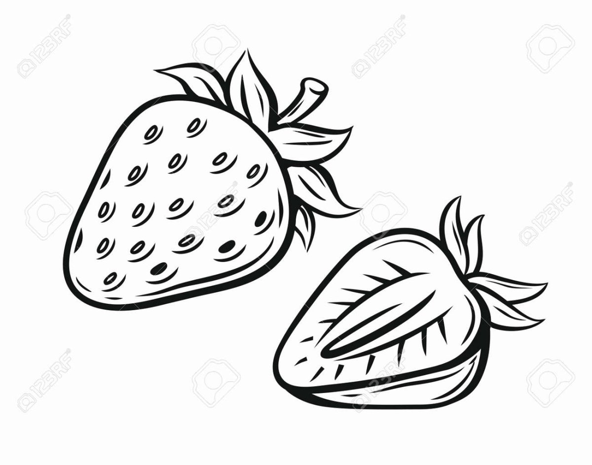 Клубника вектор контур
