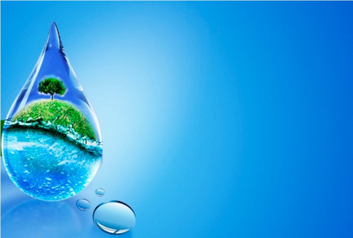 Hayat источник