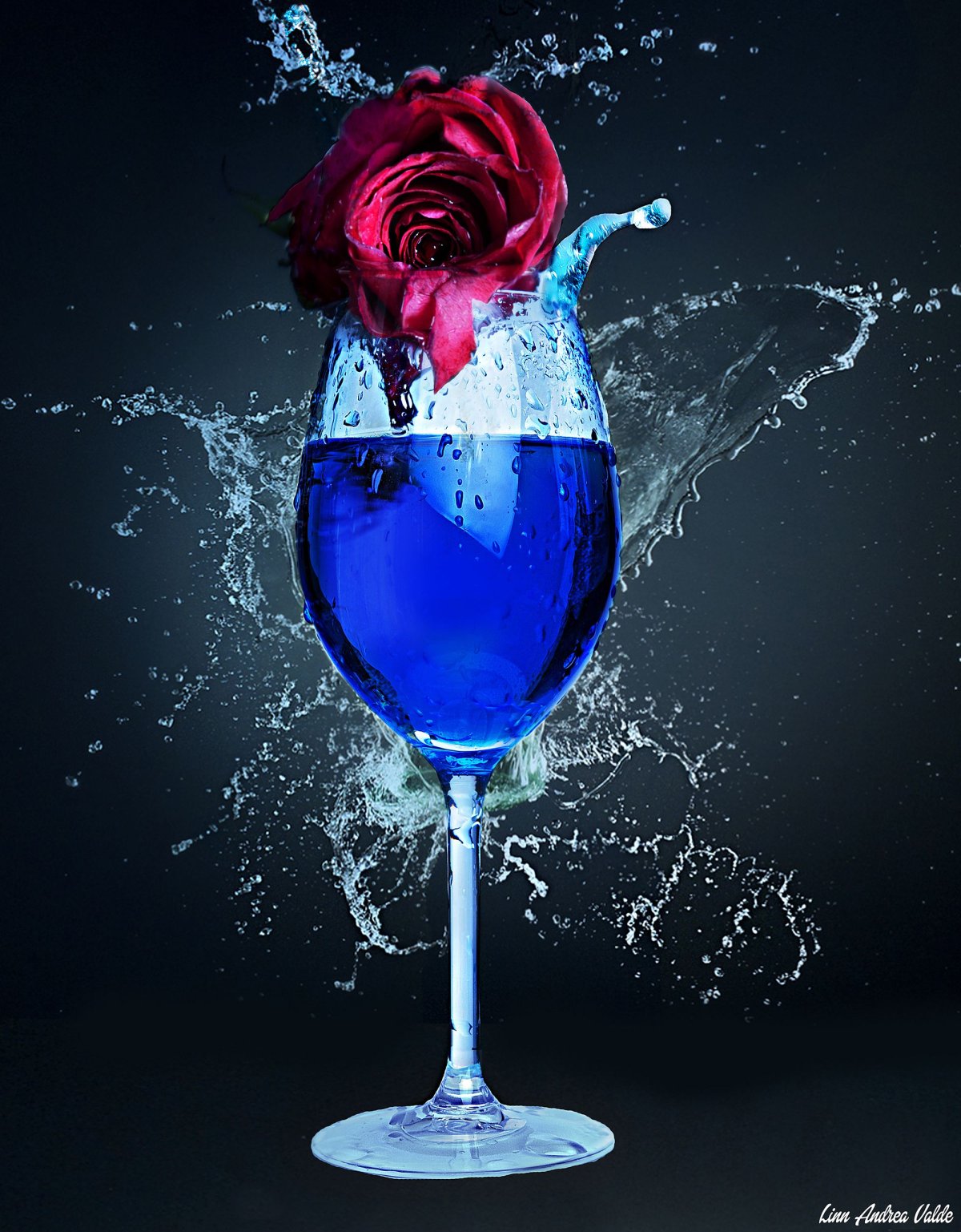 Роза в бокале с вином