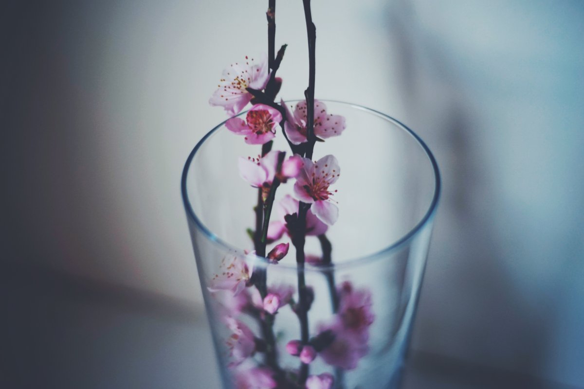 Цветы в стакане