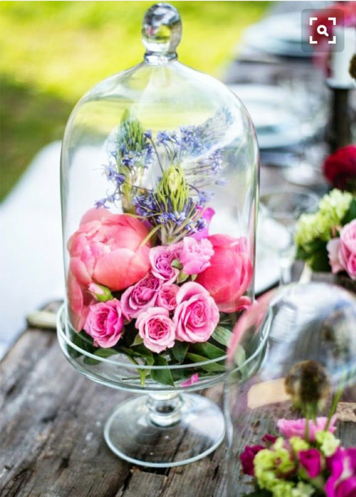 Цветы внутри вазы