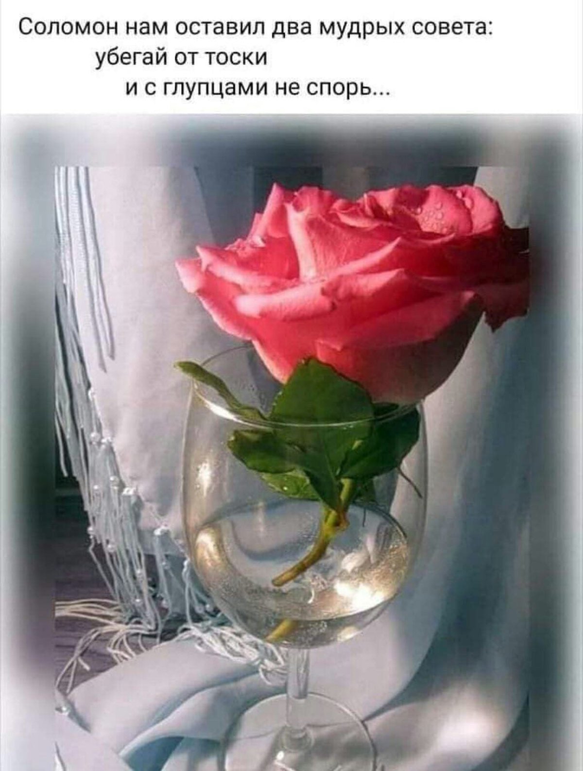 Роза в бокале