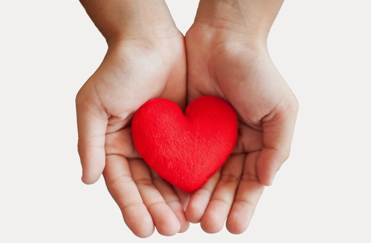 Сердце в ладонях