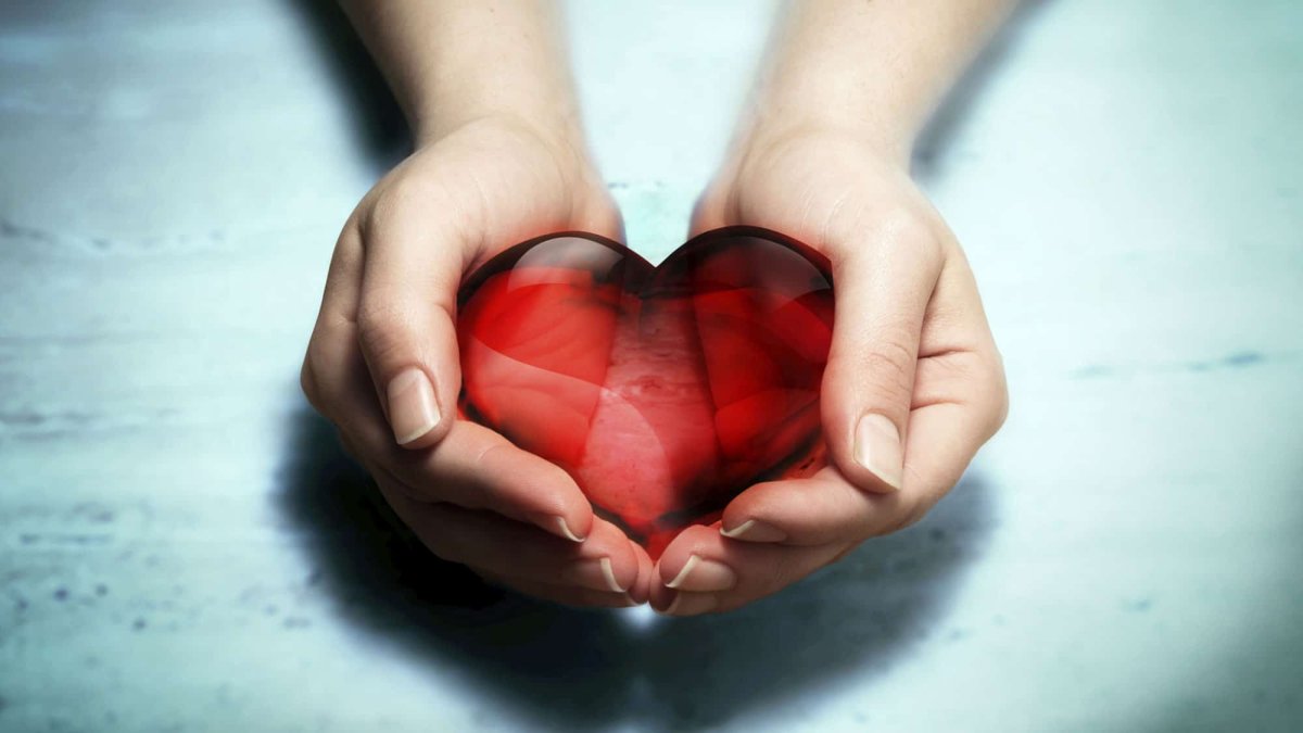Ладони держат сердце