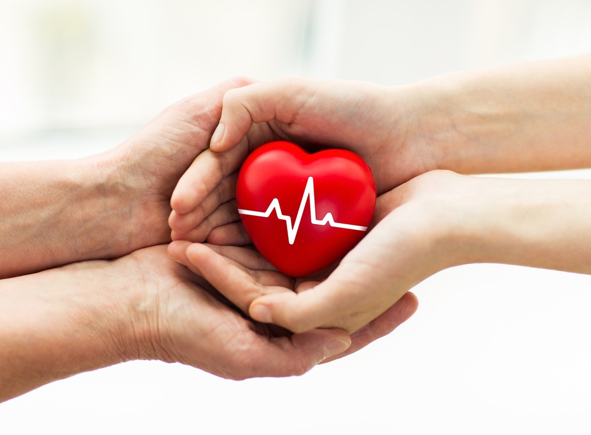 Сердце в ладонях