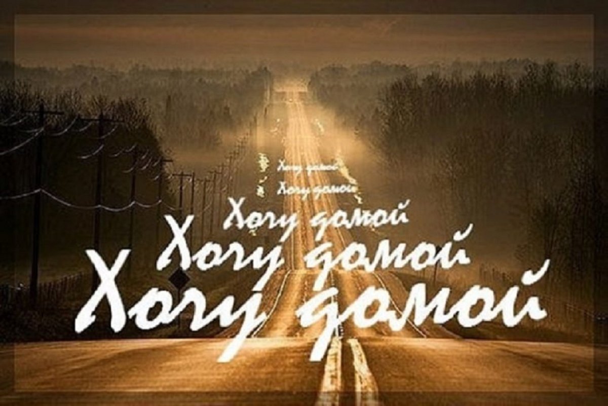 Котики для поднятия настроения