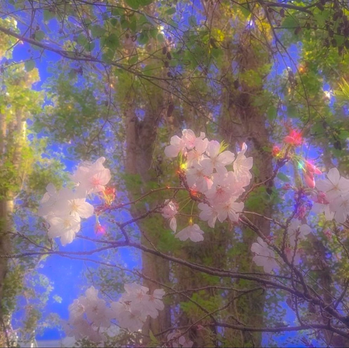 Искусство Эстетика природа