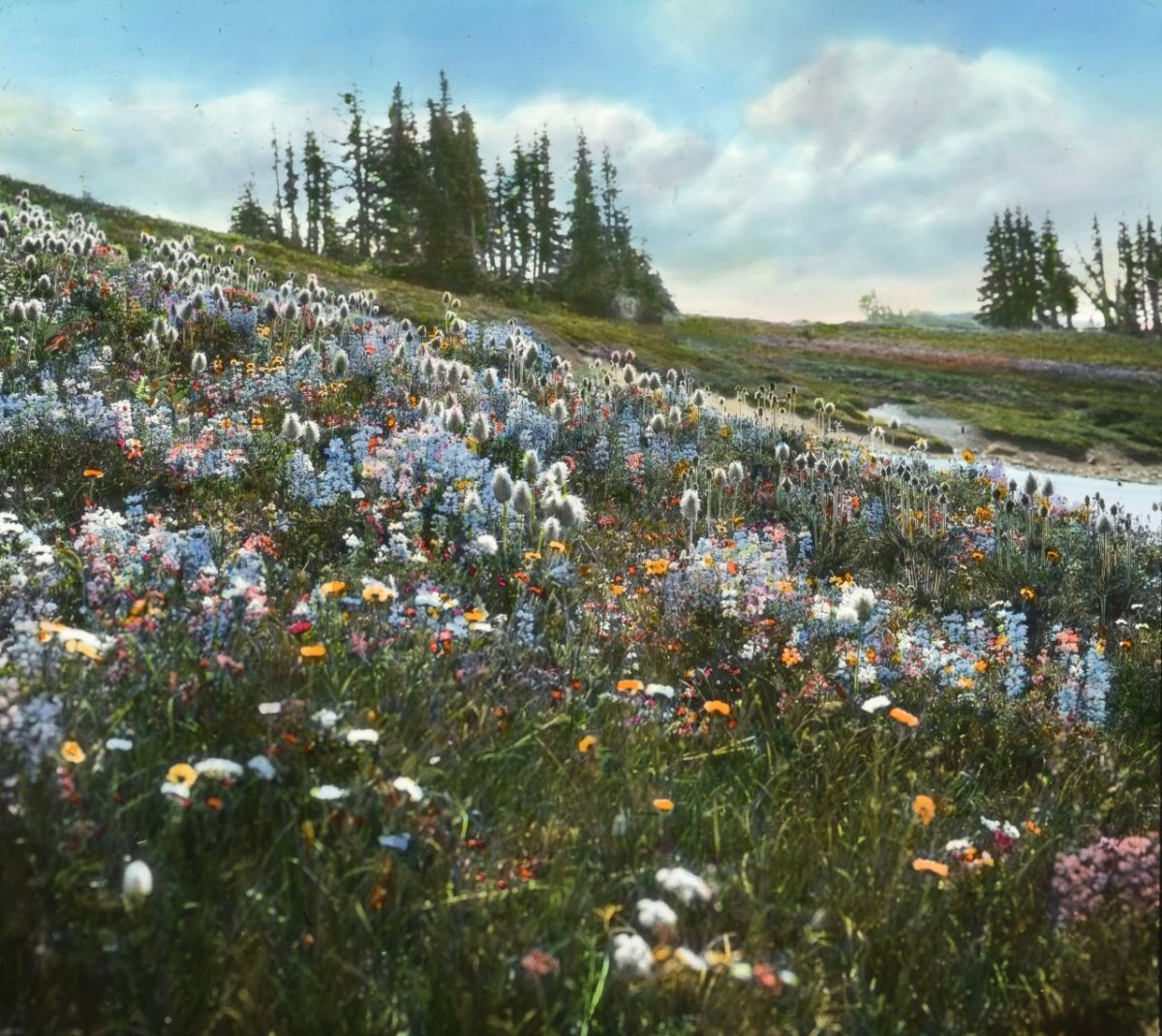 Июнь Эстетика