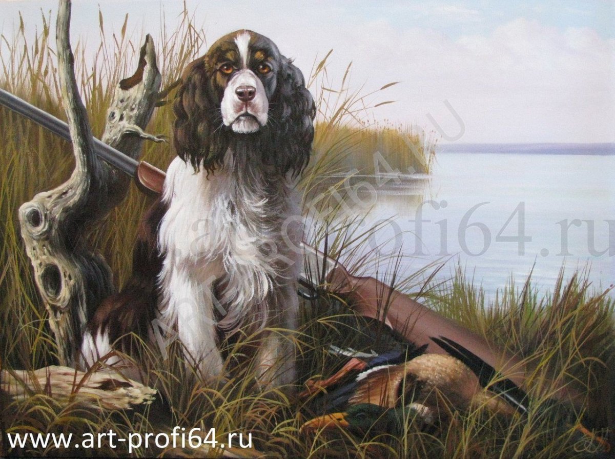 Хаски красивые