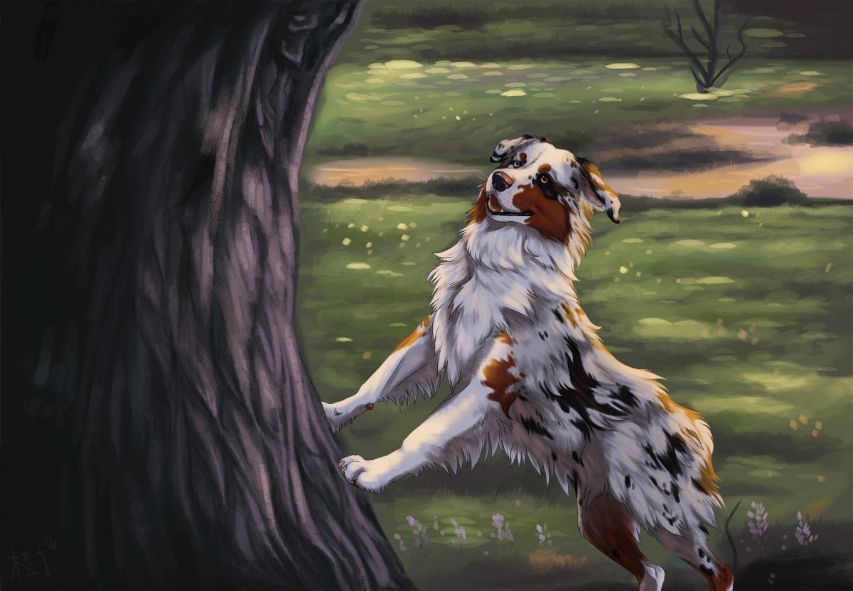 Заповедник Банф Канада