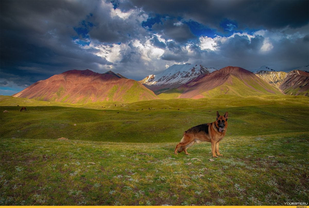 Осенний пейзаж