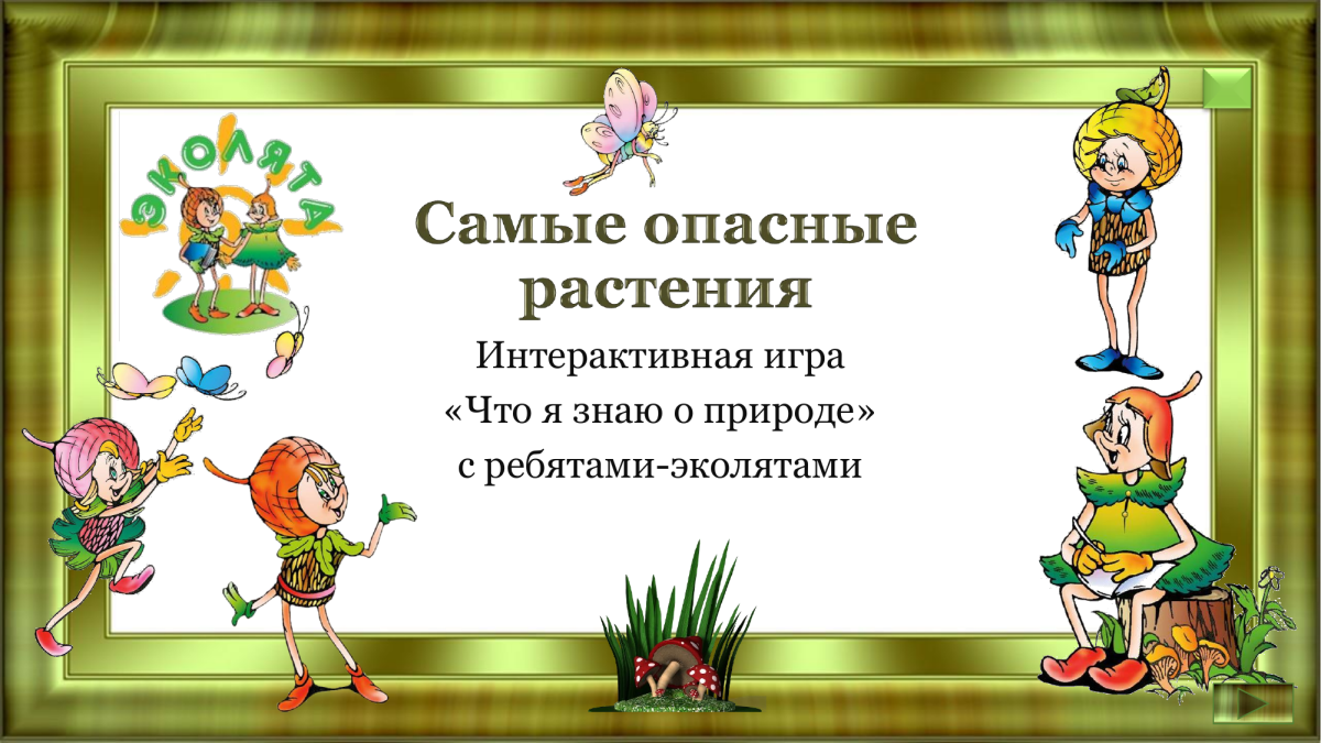 Клумбы в детском саду