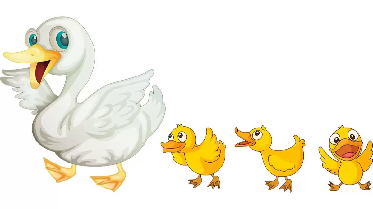 Утка с утятами вектор