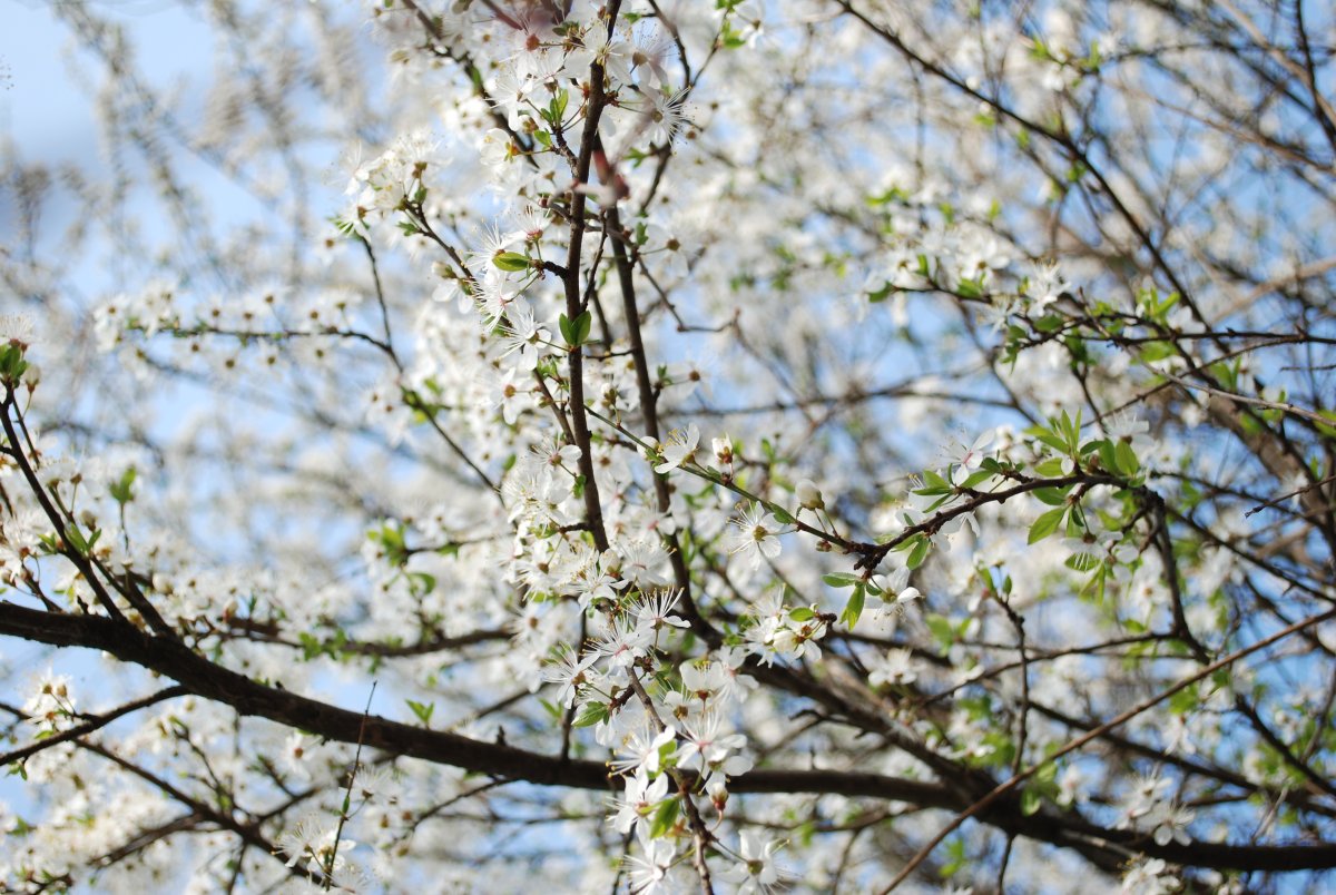 Надписи зима Весна лето осень