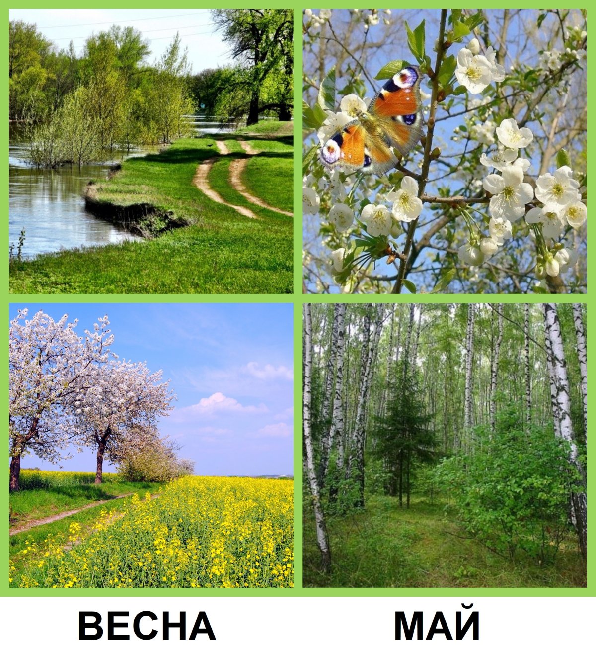 Признаки весны для дошкольников