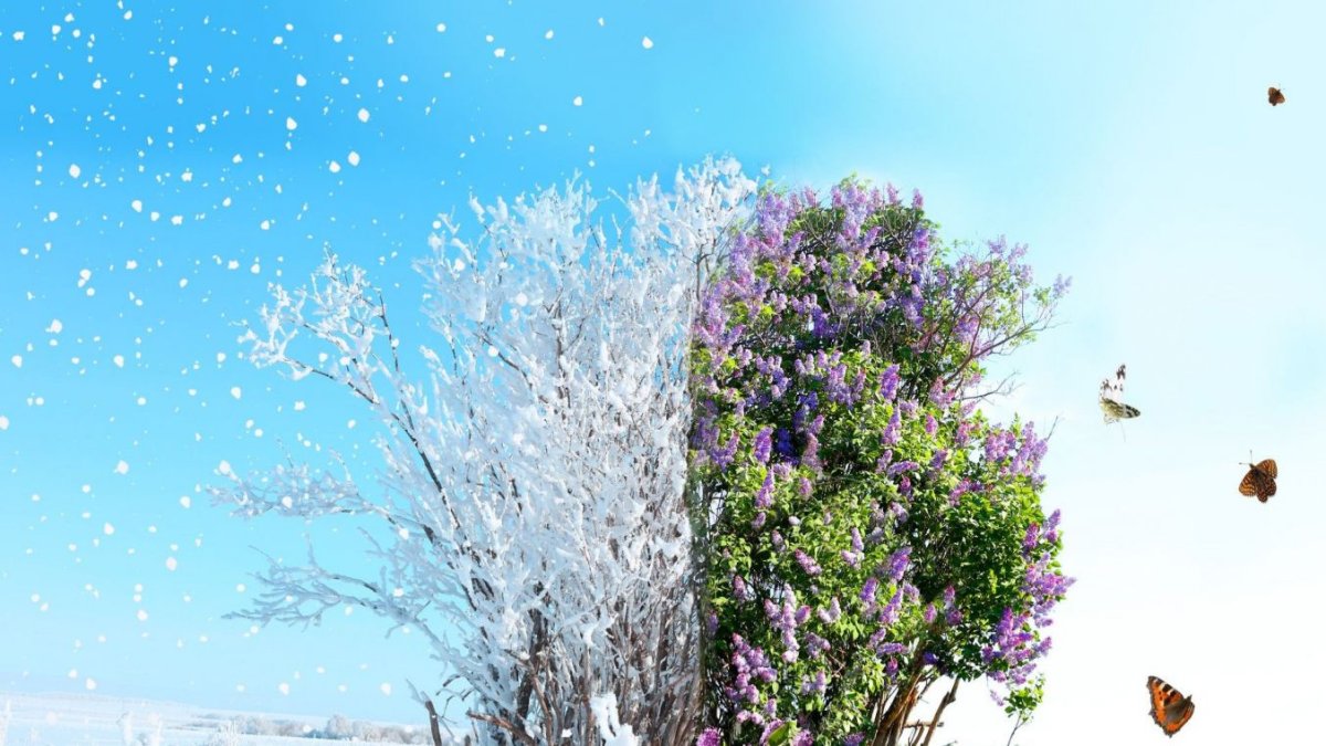 Весна для детей дошкольного возраста