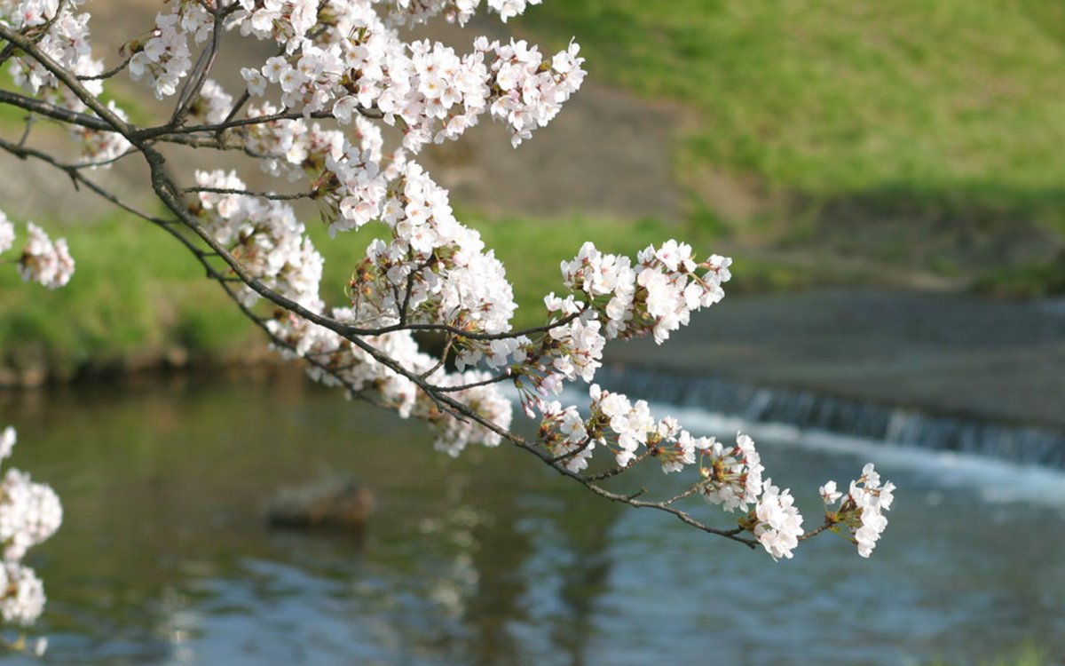 Пейзаж времена года