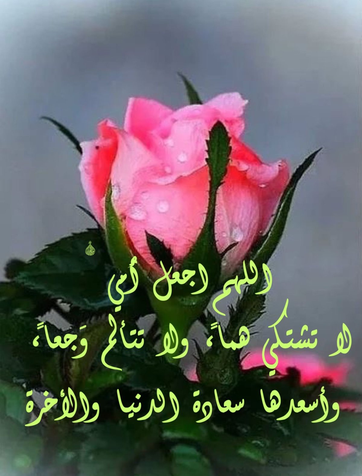 Ассалам алейкум