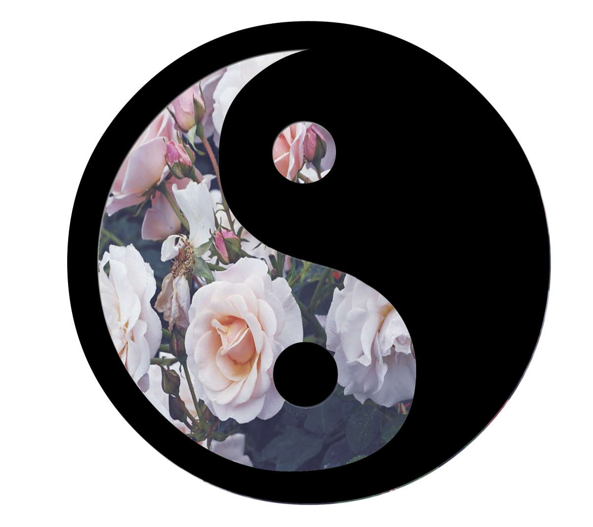 Инь Янь Эстетика