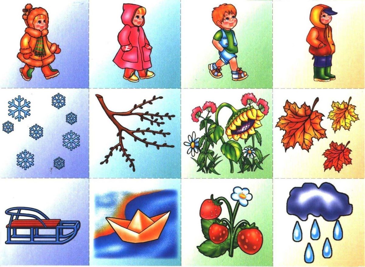 Дерево зимой летом осенью и весной