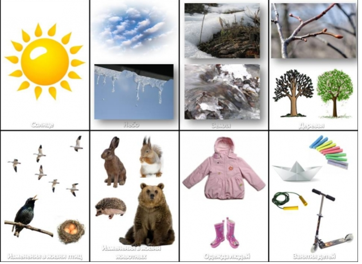 Времена года на английском