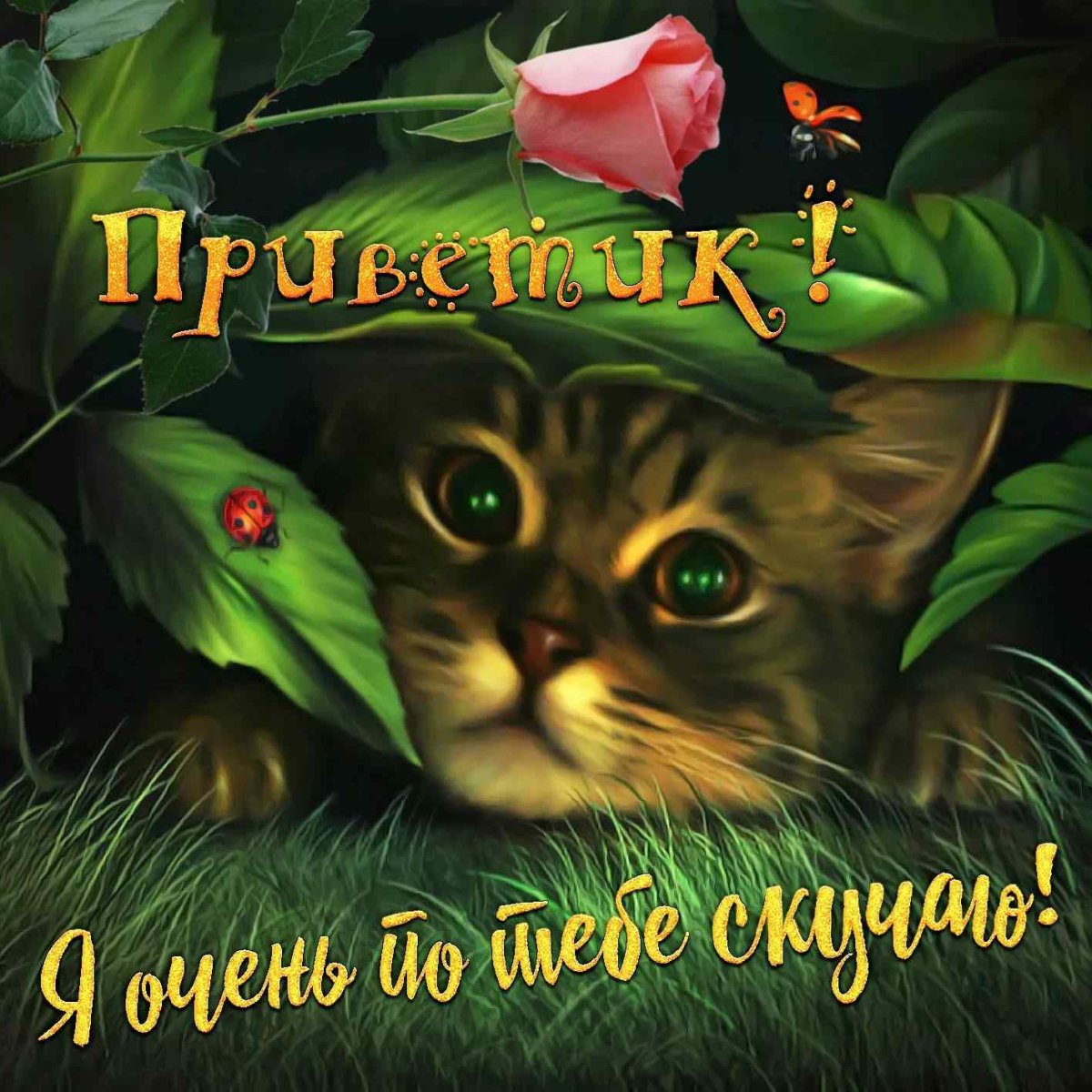 Открытка привет мужчине