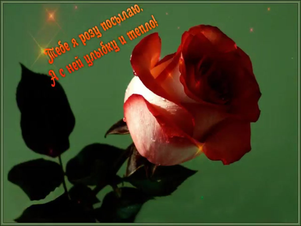 Открытка привет любимая