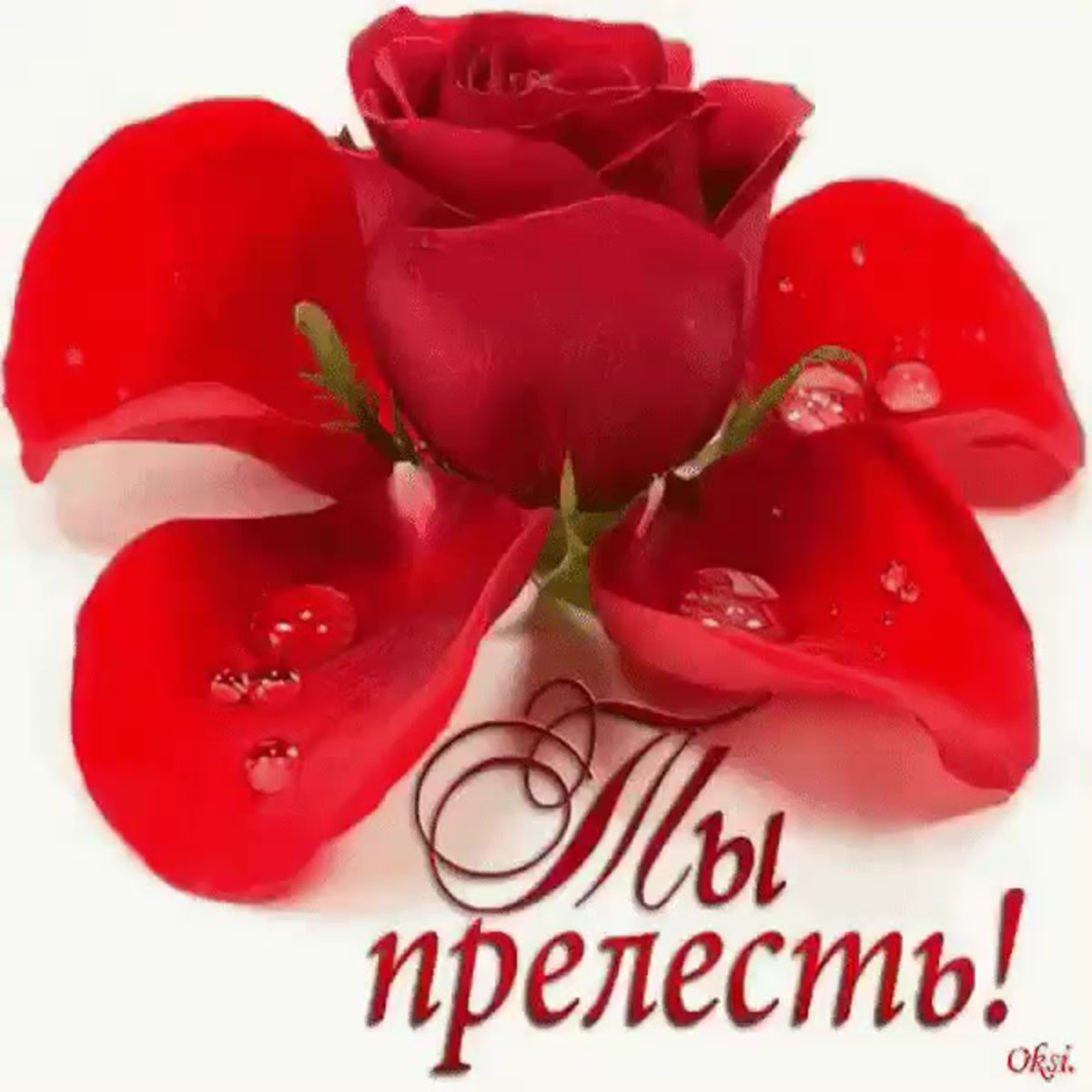 Я безумно тебя люблю