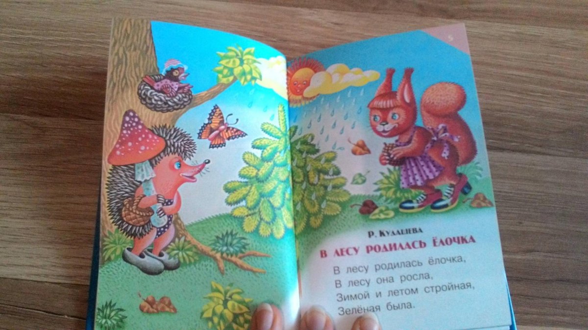 Нельзя рубить елки