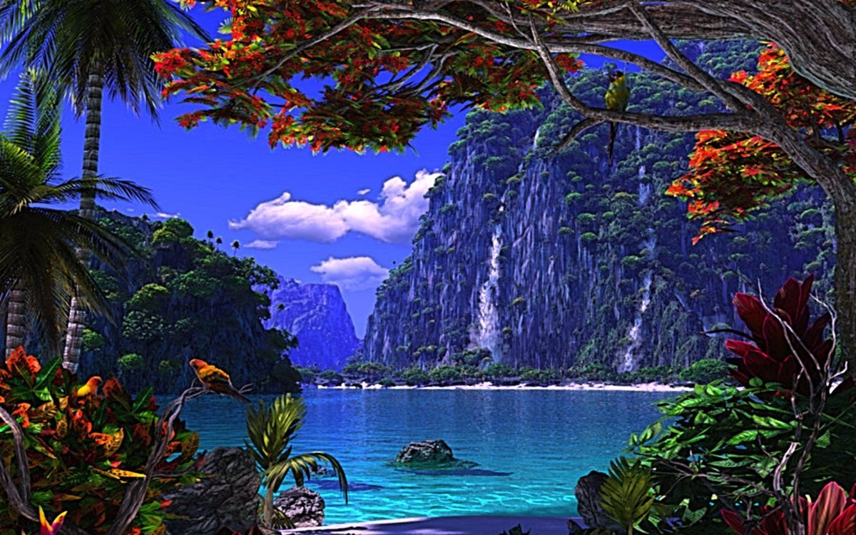 Радуга в горах и цветы