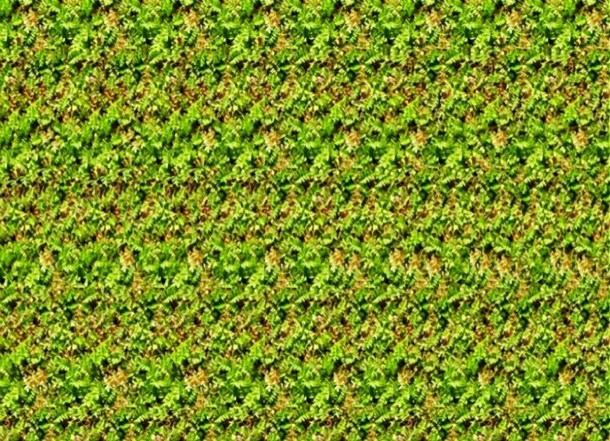 Стереограммы Хидден 3д