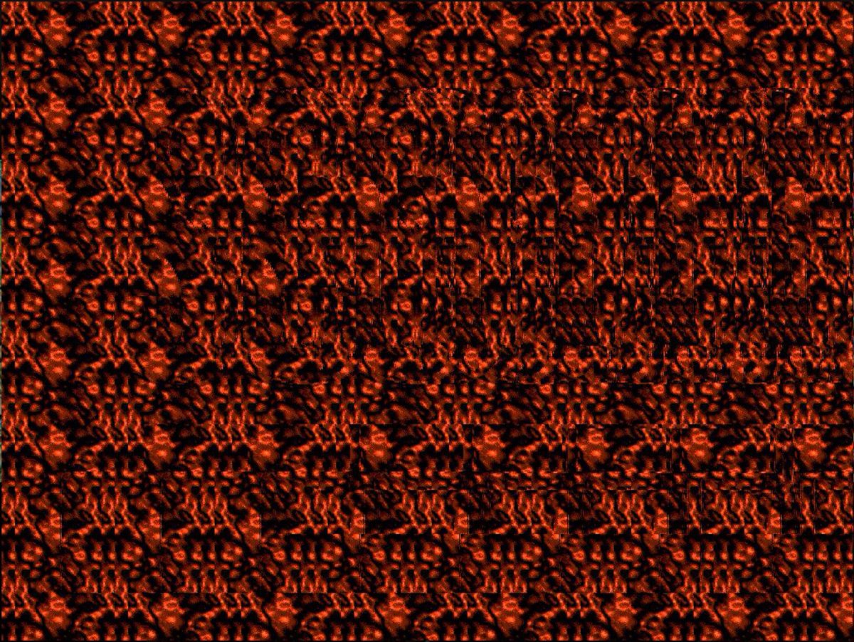 Стереограмма верблюд