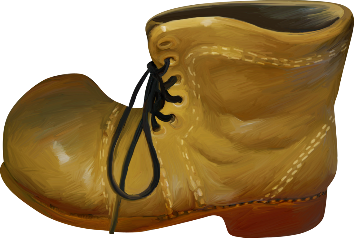 Ботинки на прозрачном фоне