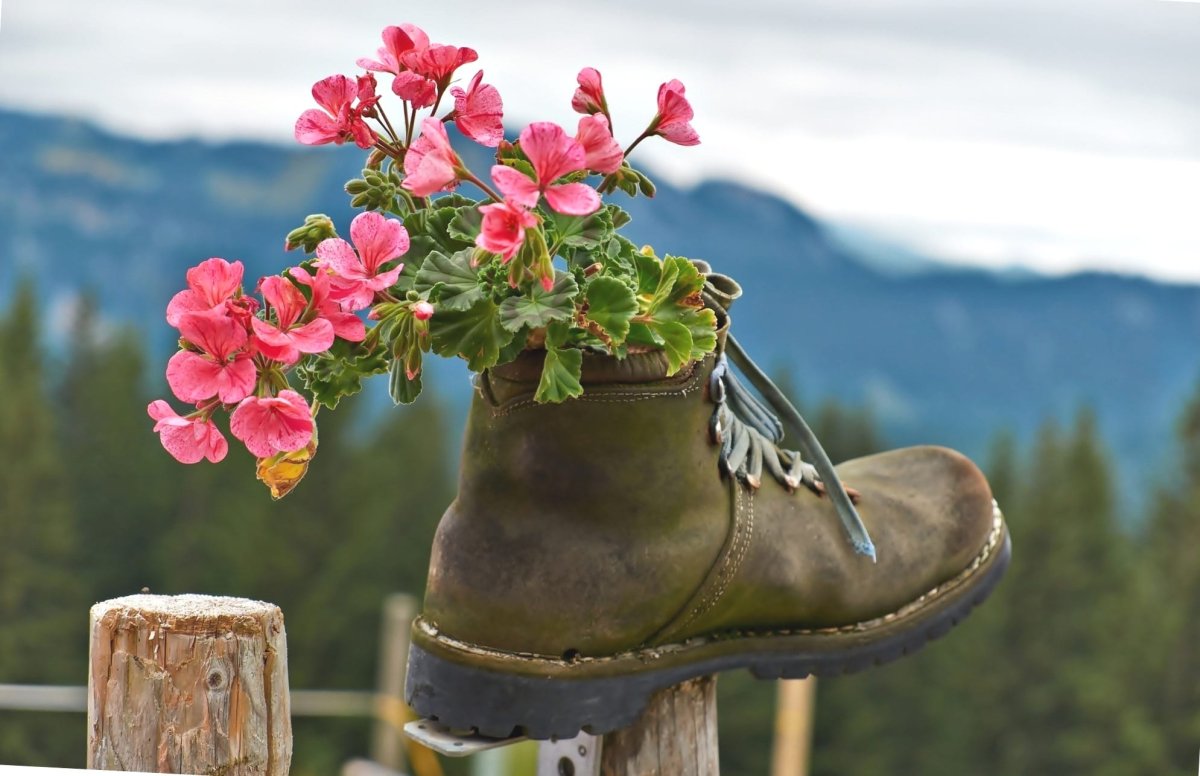 Ботинки с цветами