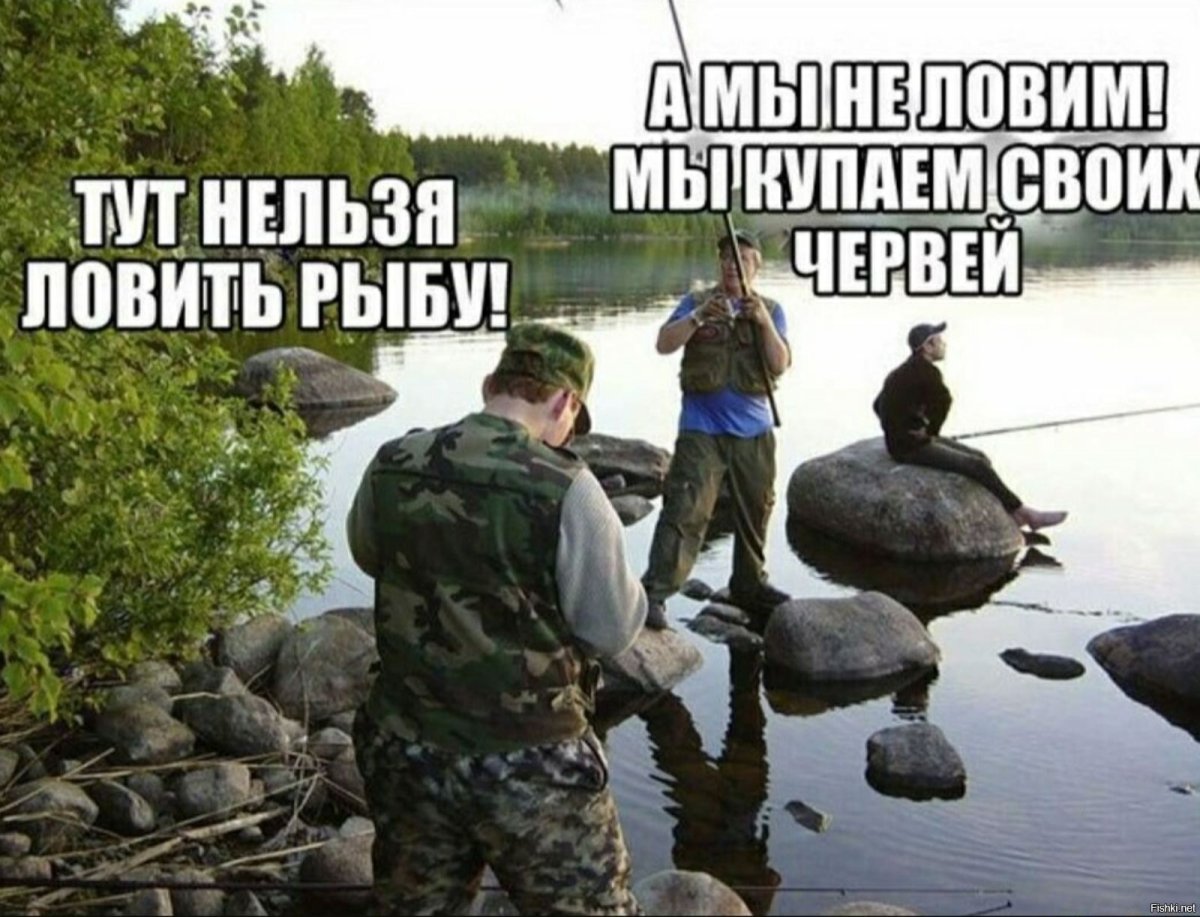 Юмор в картинках и фотографиях с надписями ржачные