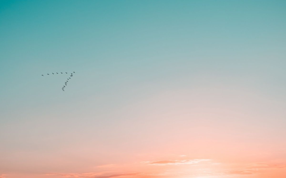 Минимализм рисунки