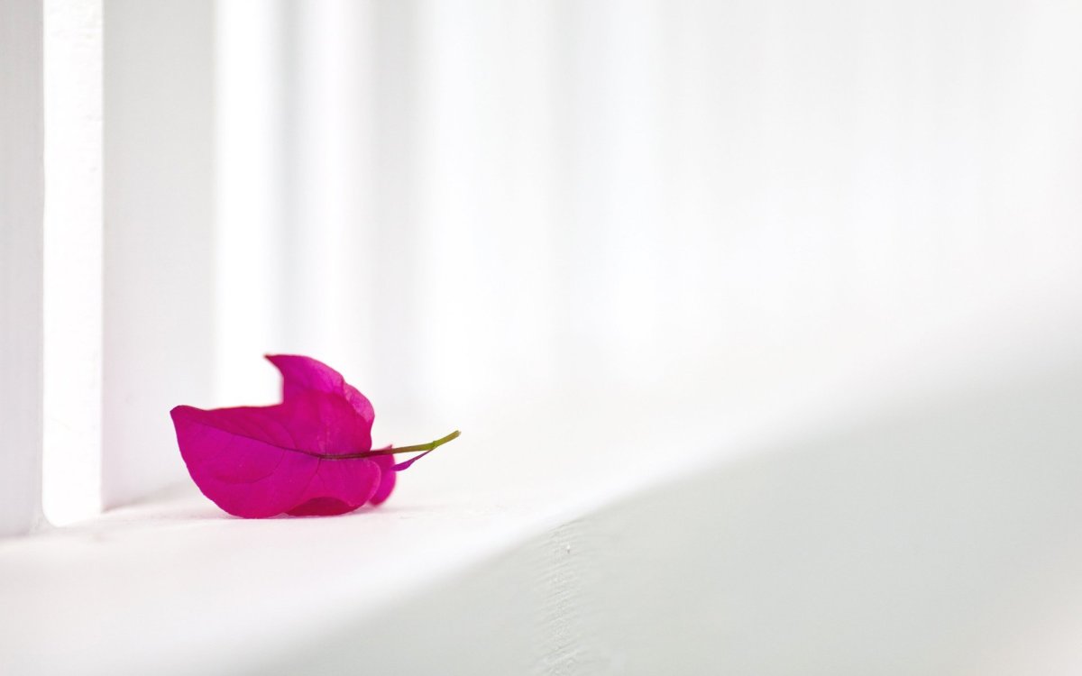 Обои Минимализм Эстетика