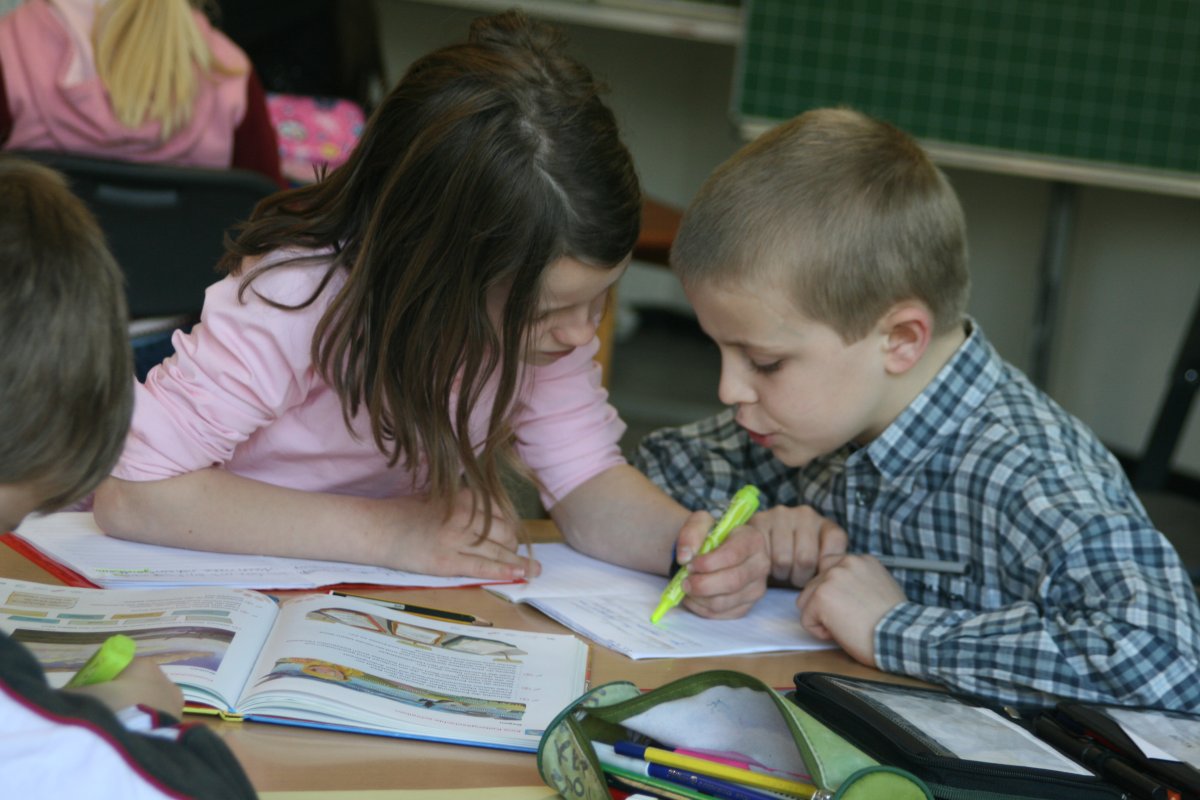 Работа в парах на уроке