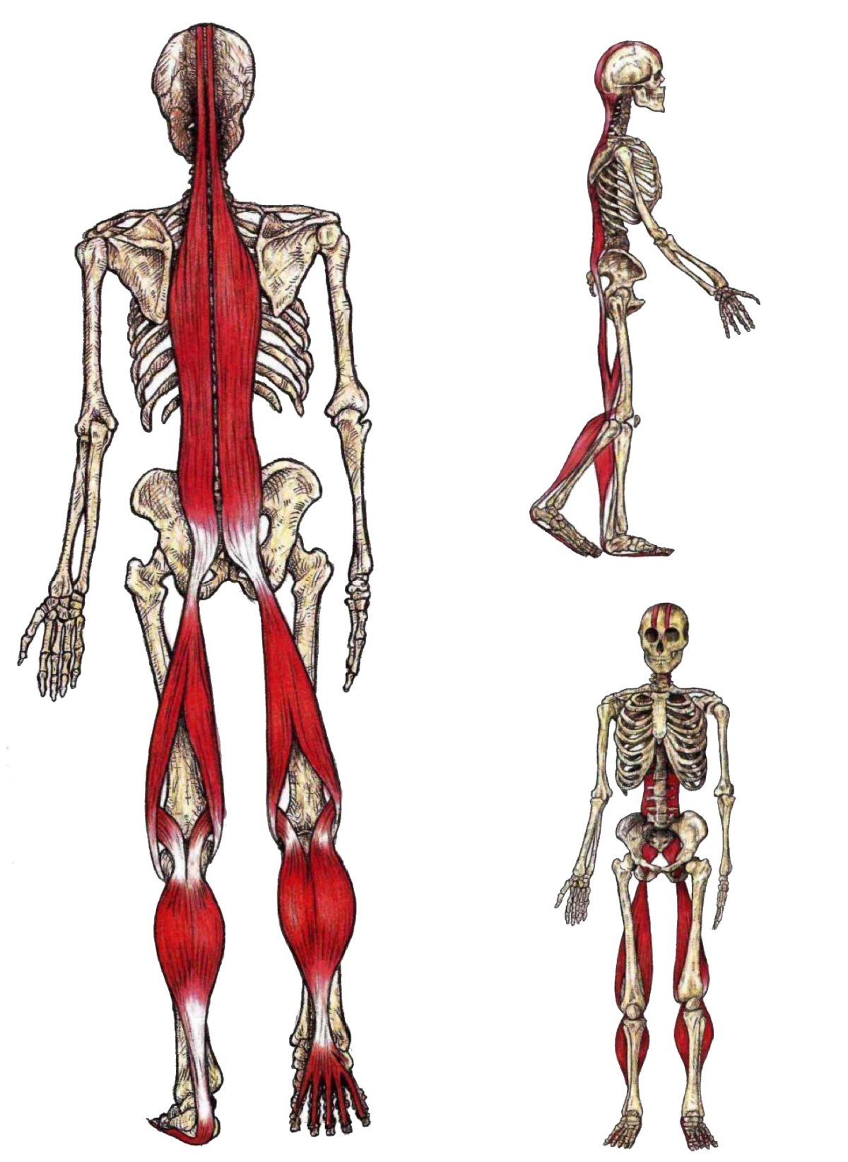 Путешествие на поезде