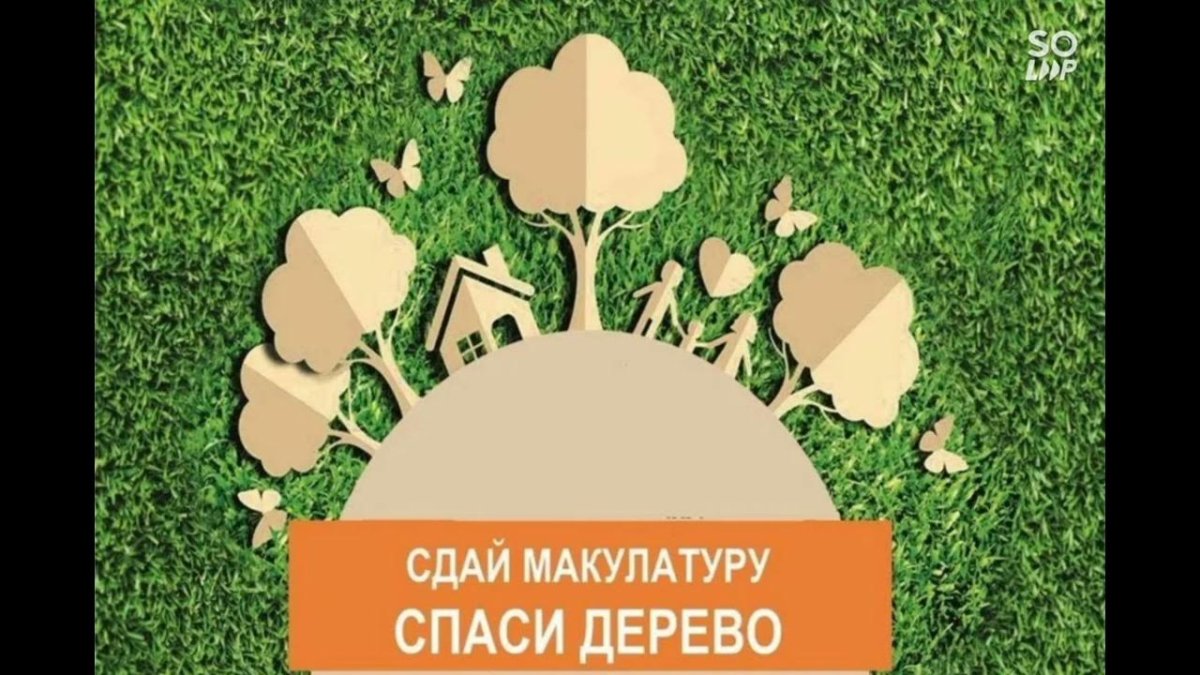Сбор макулатуры акция Спаси дерево